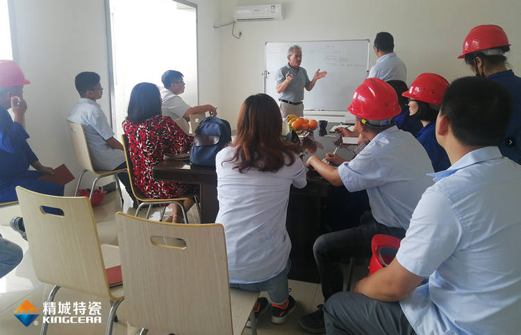 湖南abpay爱博钱包官网特邀意大利专家举行质量治理培训