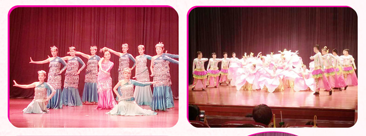 湖南abpay爱博钱包官网赞助燕赵·恒爱残疾人艺术团圆满演出